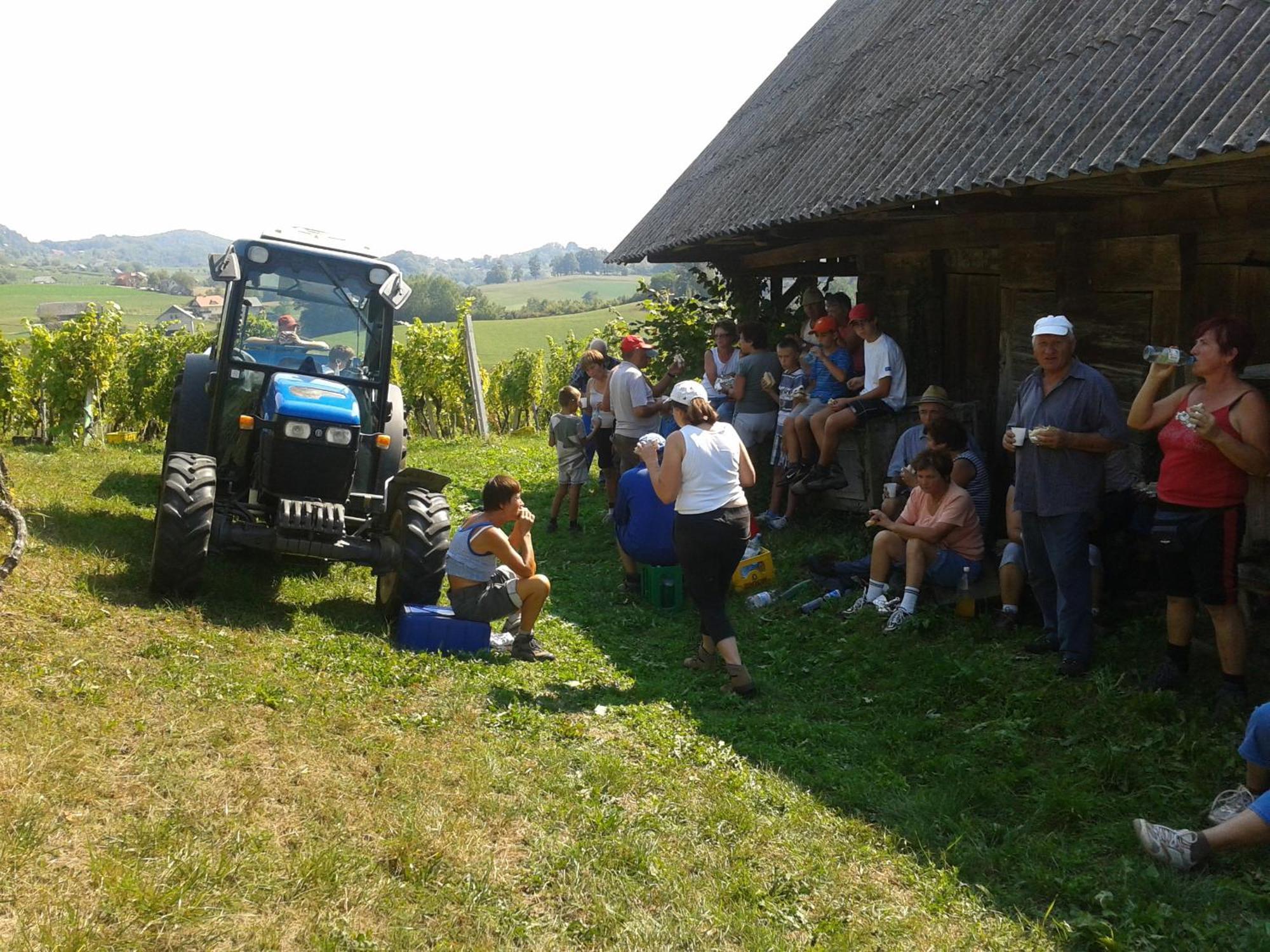 Grobelnik Tourist Farm Vila Sevnica Exterior foto